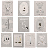 Bambino Baby's First Milestones Album & Cards - Crusader Gifts