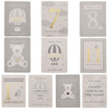 Bambino Baby's First Milestones Album & Cards - Crusader Gifts