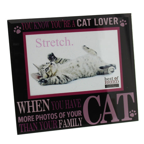 Best of Breed Novelty Cat Moto Photo Frames Hold 6x4" Photograph