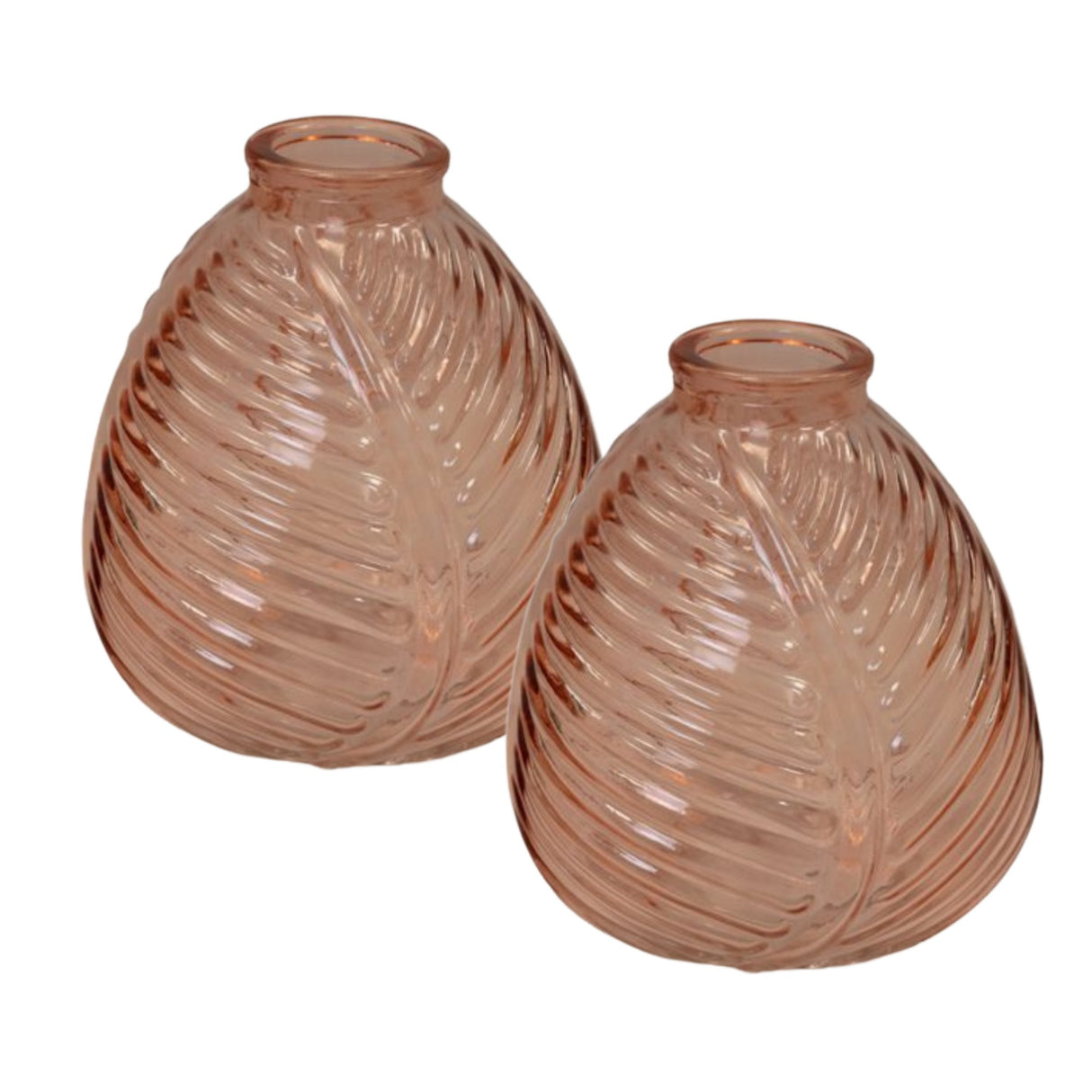 Satchville Glass Leaf Bottle Vases - Various Colours