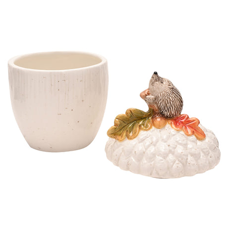 Country Living Hedgehog Storage Jar For Sweet Treats And Essentials