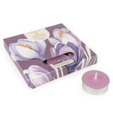 Candlelight spring summer collection tea light candles pack of 9 - Crocus & Sweet Orange
