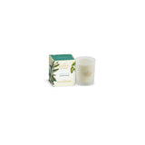 Ashleigh & Burwood New Scented Home Glass Candle - Eucalyptus & Vetiver