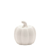 Country Living By White Pumpkin Size