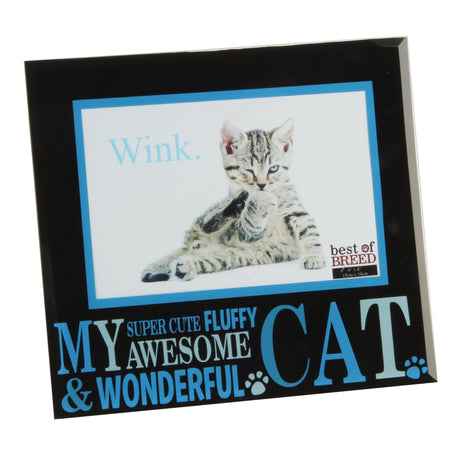 Best of Breed Novelty Cat Moto Photo Frames Hold 6x4" Photograph