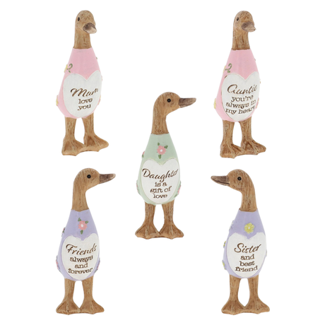 Daisy Mini Message Duck Figurines Collection