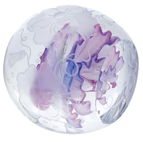 Caithness Glass Paperweight Floral Limited Edition - Sweet Pea Summer