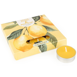Candlelight spring summer collection tea light candles pack of 9 - Sweet Lemon & Rosemary