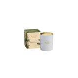 Ashleigh & Burwood New Scented Home Glass Candle - Fire & Cedarwood