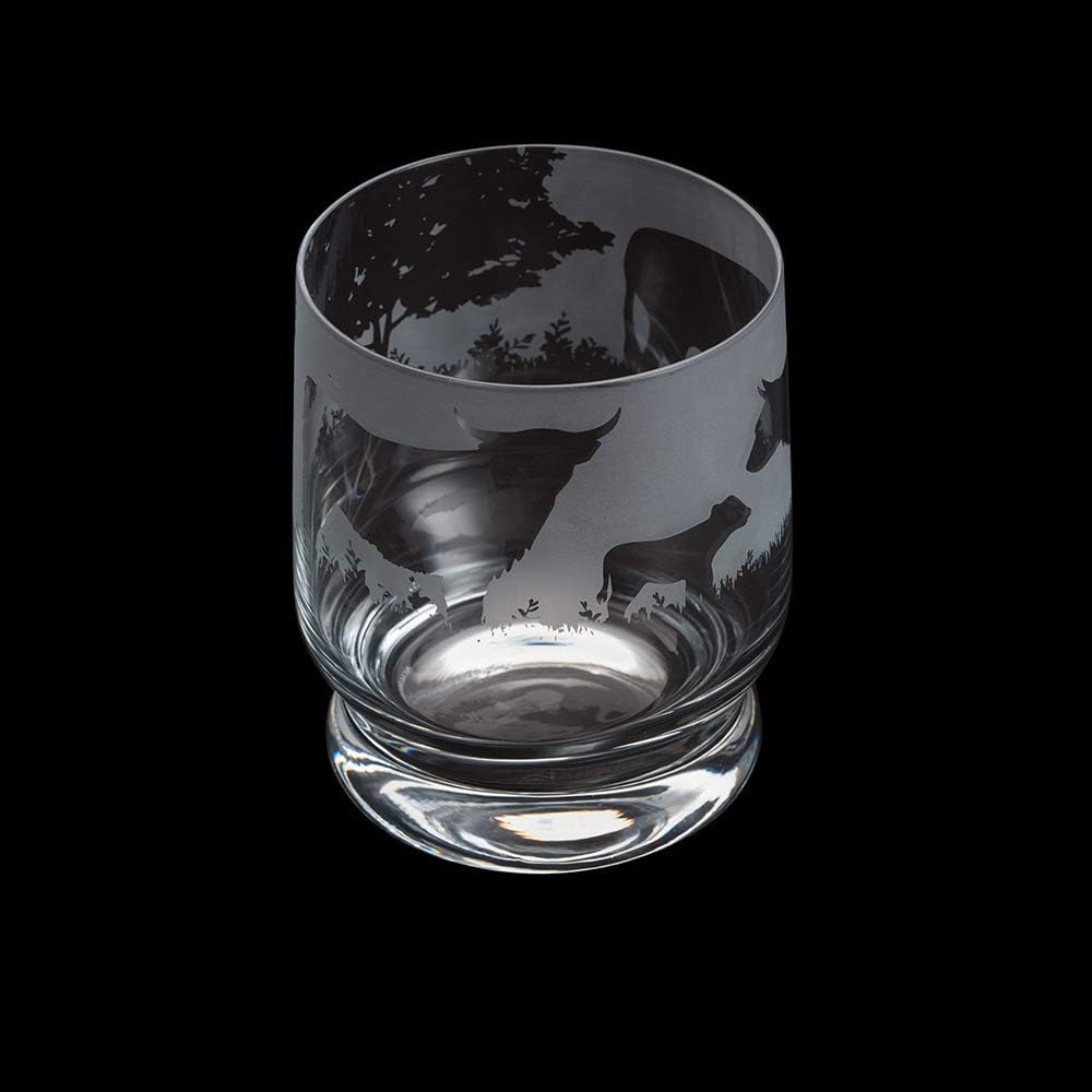 Dartington Aspect Tumbler Glass - Various Designs Sports & Hobbies