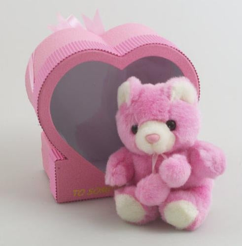 Someone Special Bear in Heart Gift Box