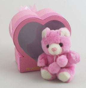 Someone Special Bear in Heart Gift Box